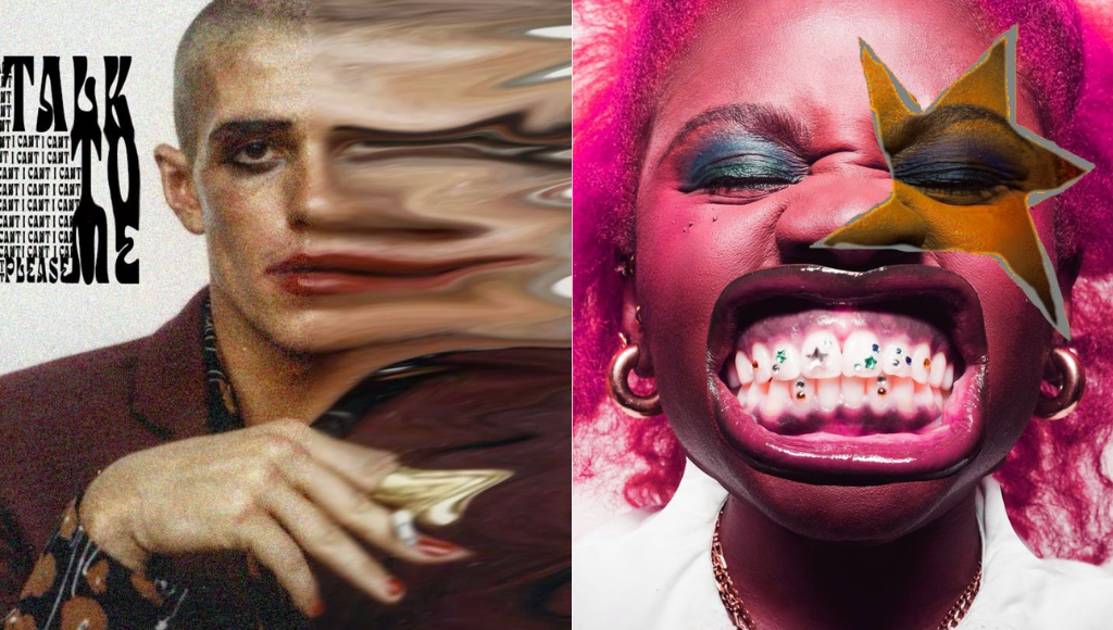 Distorted Portraits